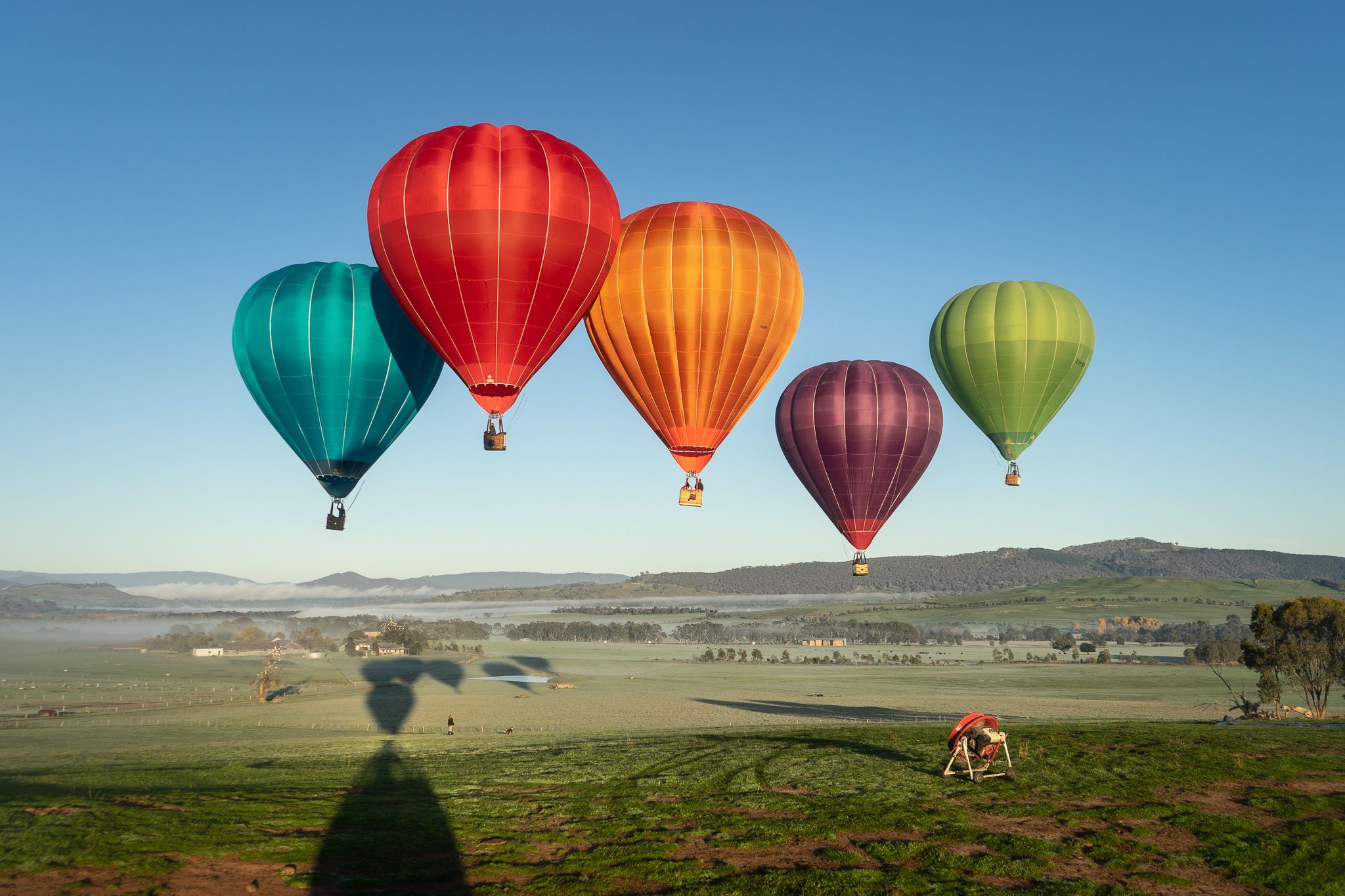 Soaring high above picturesque vineyards and the Yarra River this hot air balloon journey offers stunning views and unique encounters with nature perfect for your next adventure.