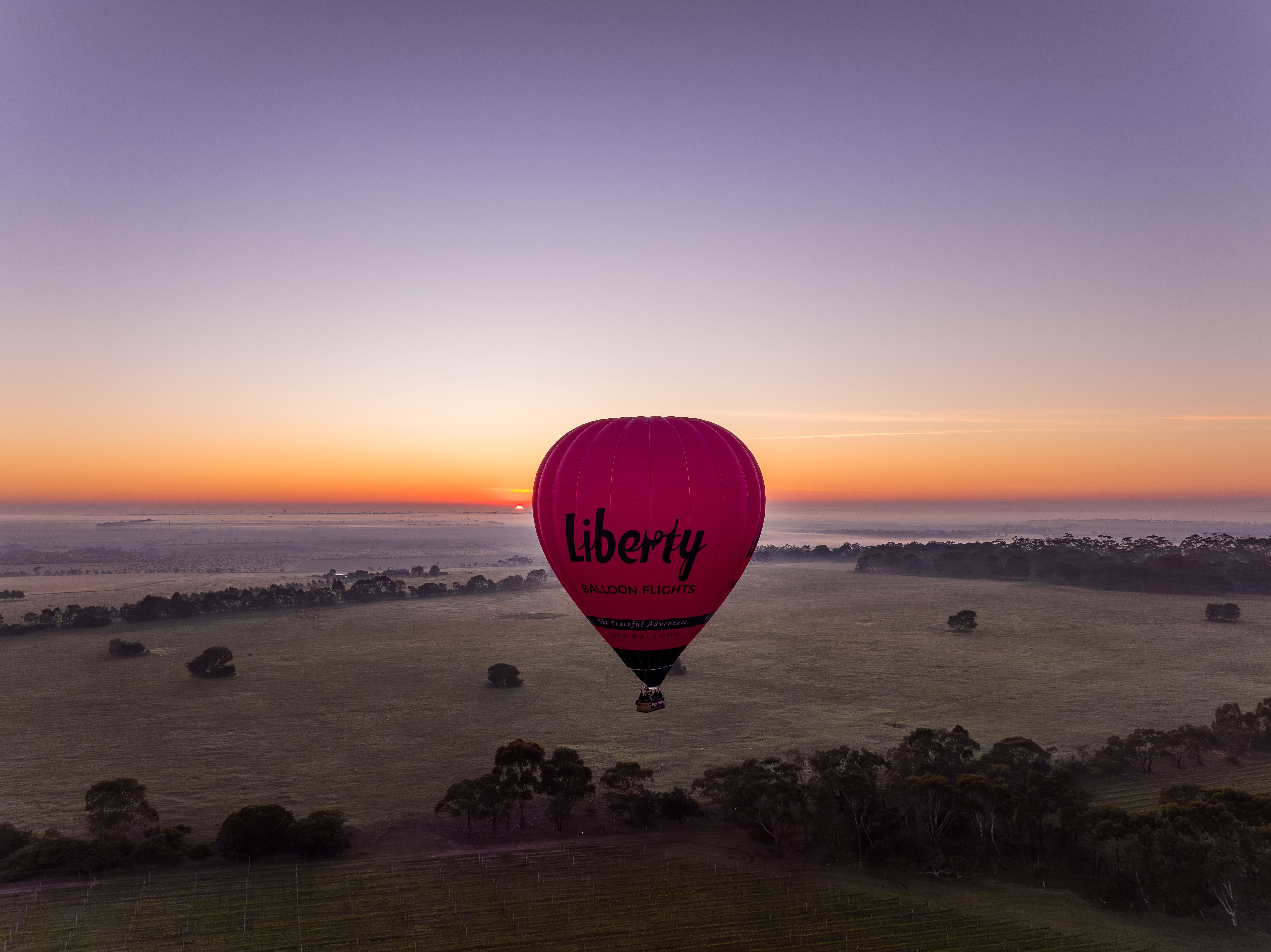 The Great Ocean Flight - Geelong and Bellarine - Includes Breakfast - Photo 1 of 9