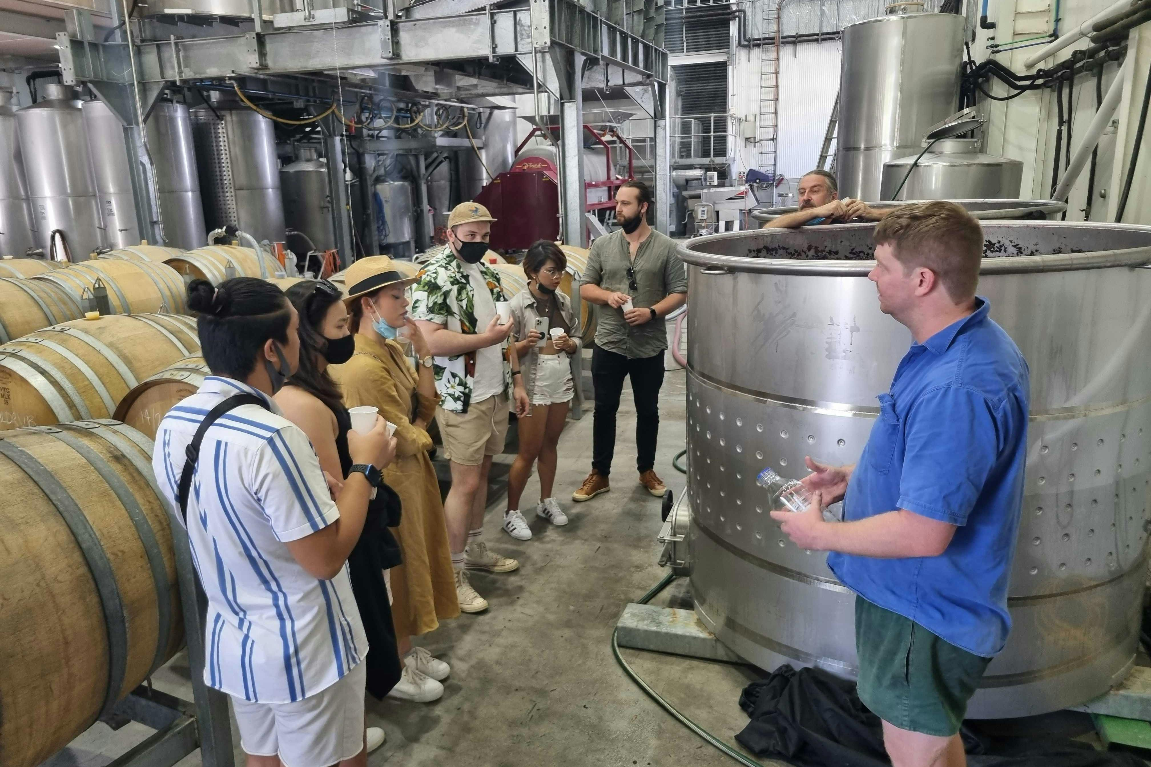 Hunter Valley: Day Trip from Sydney + Tastings + Lunch - Photo 1 of 3