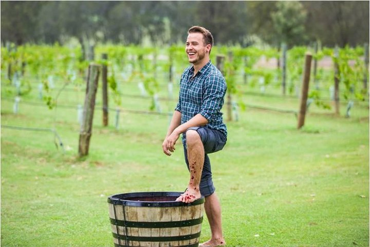 Feel the squish of juicy grapes underfoot while surrounded by lush vineyards embracing the playful spirit of grape stomping in the picturesque Hunter Valley winemaking tradition.