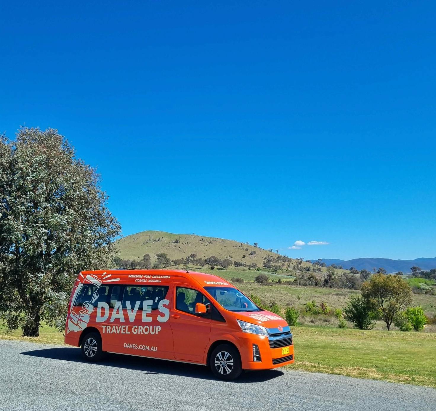 Hunter Valley: Guided Wine Tour from Newcastle + Lunch + Tastings - Photo 1 of 4