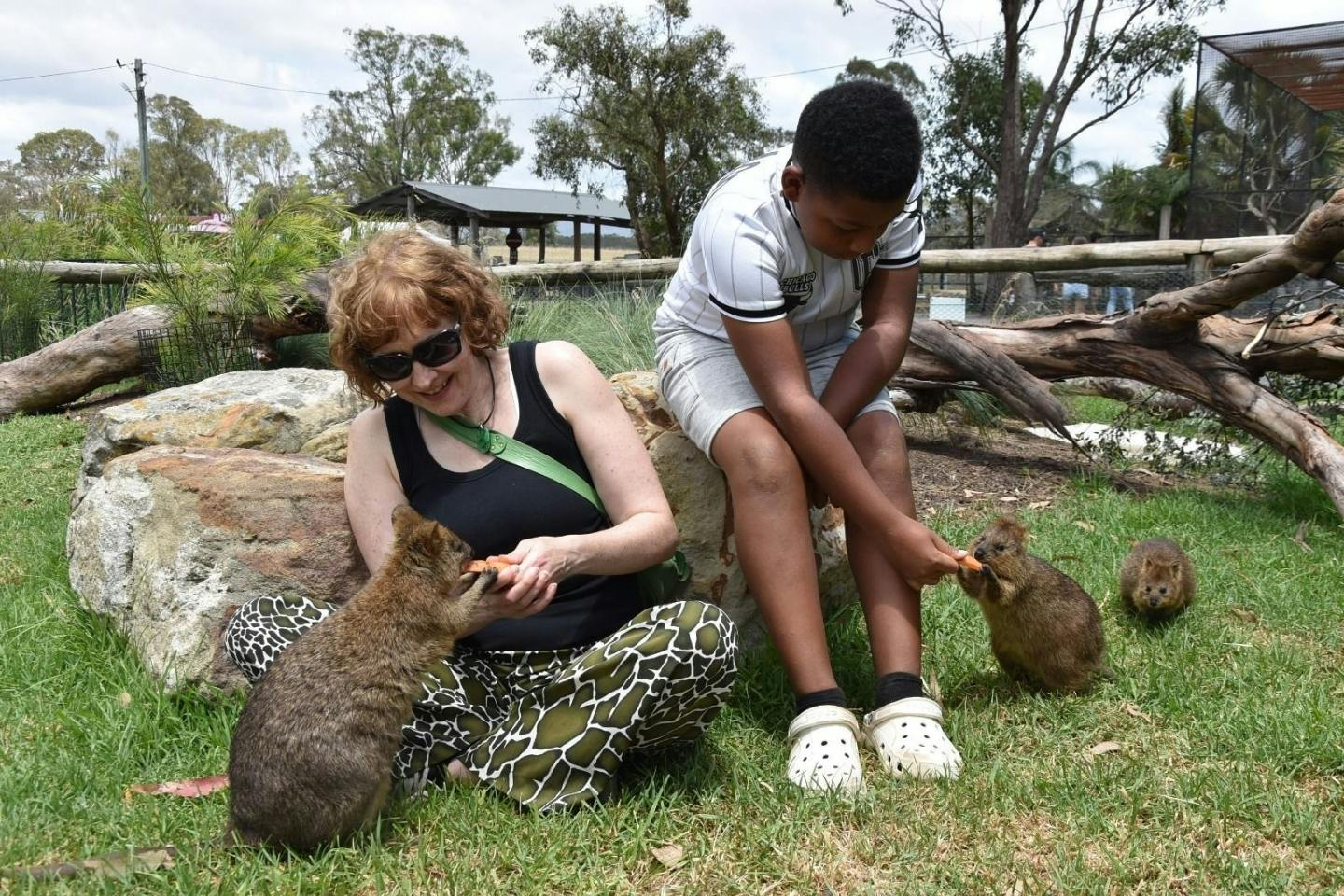 Hunter Valley Wildlife Park: General Admission Ticket - Photo 1 of 13