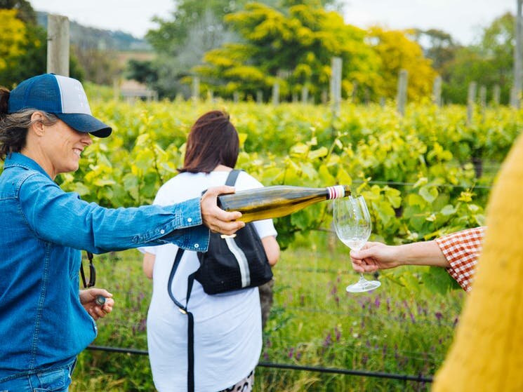 Discover the joy of wine tasting amid lush vineyards where friends share laughter delicious flavors and unforgettable moments in the scenic Hunter Valley. A delightful day awaits!