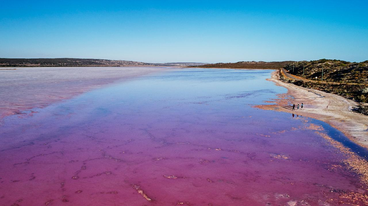 Hutt Lagoon Pink Lake Flight with River Gorges from Geraldton - Photo 1 of 3