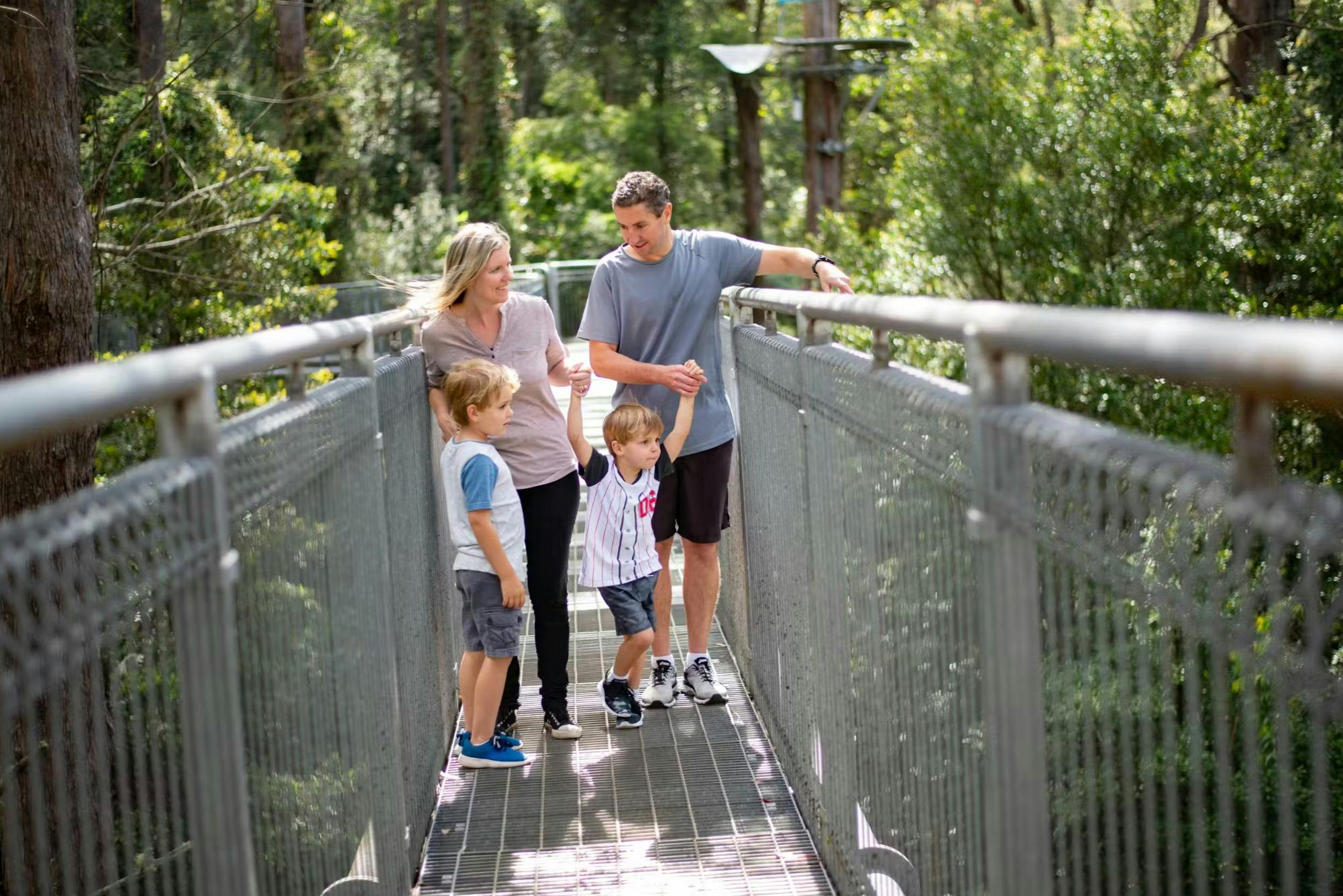 Illawarra Fly Treetop Adventures: Treetop Walk - Photo 1 of 6