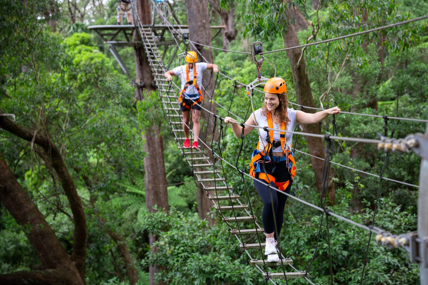 Illawarra Fly Zipline Adventure Tour and Treetop Walk - Photo 1 of 8