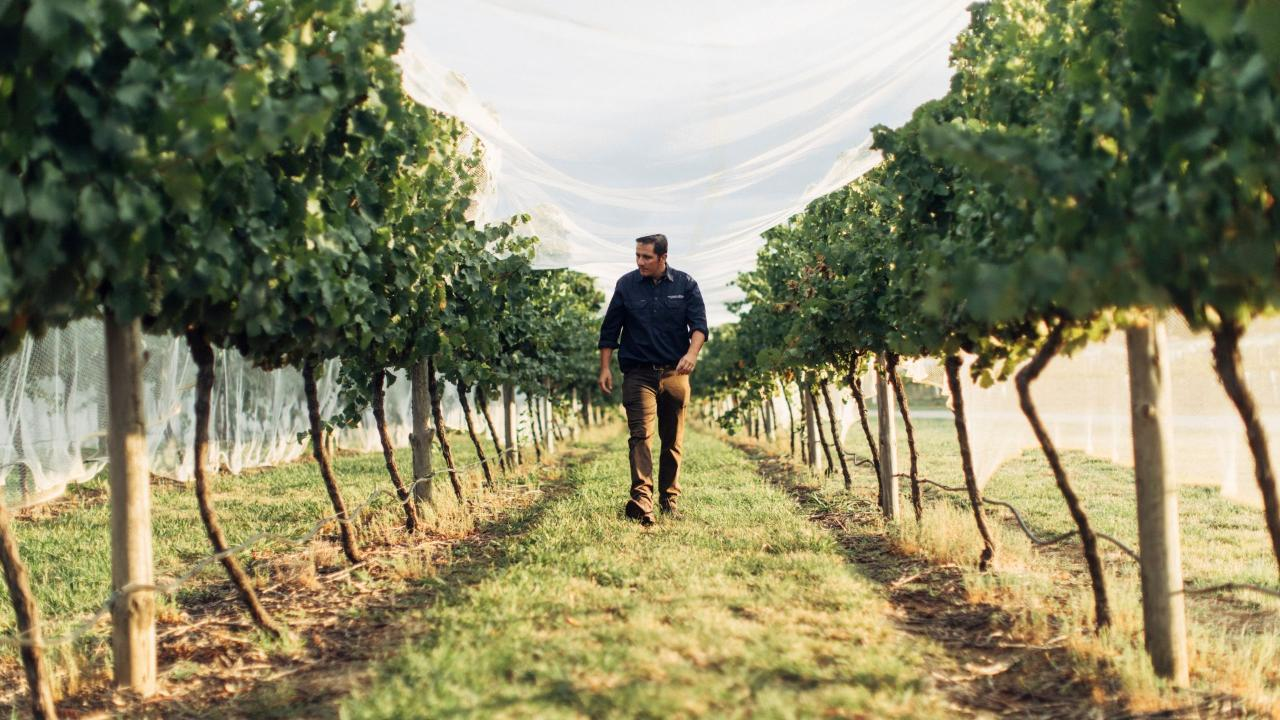 Immerse with Swinging Bridge - Photo 1 of 7