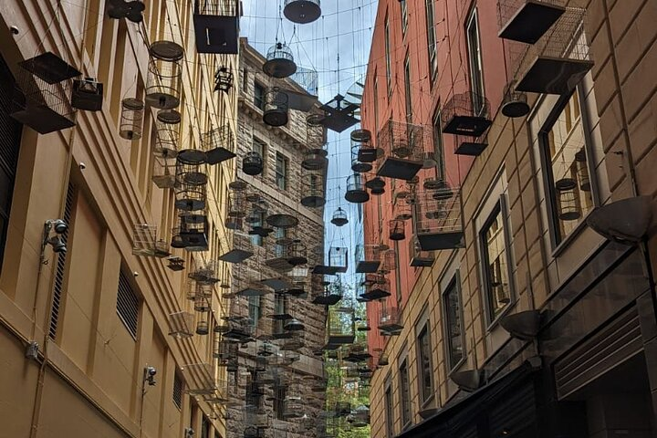 Wander through Sydney's historic streets solving cryptic clues while surrounded by captivating art and unique architecture. Experience the city as you uncover a mystery beyond the ordinary.
