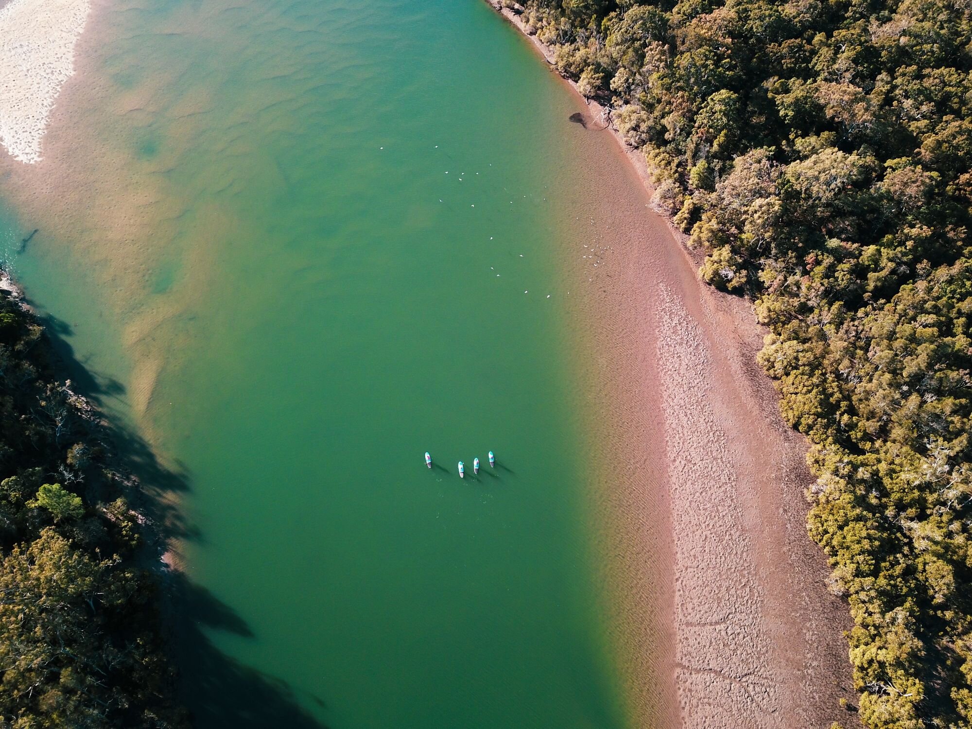 红岩土著文化之旅：SUP 和导游步行 - Photo 1 of 5