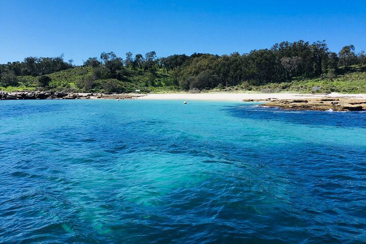 Jervis Bay Passage Tour - Photo 1 of 14