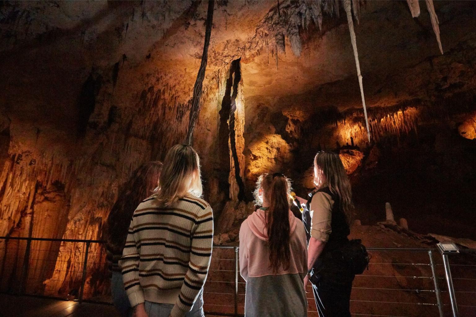 Jewel Cave Fully Guided Tour - Photo 1 of 10