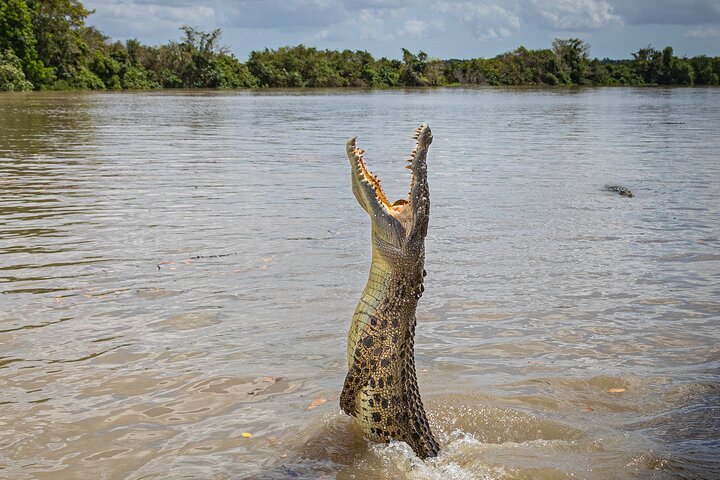 Adelaide River Cruises - Jumping Crocodile Experience - Photo 1 of 12