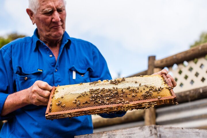 Kangaroo Island Half-Day Tour - Photo 1 of 5