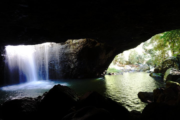 Kangaroos, Rainforest & Waterfalls Experience - Small Group - Photo 1 of 12