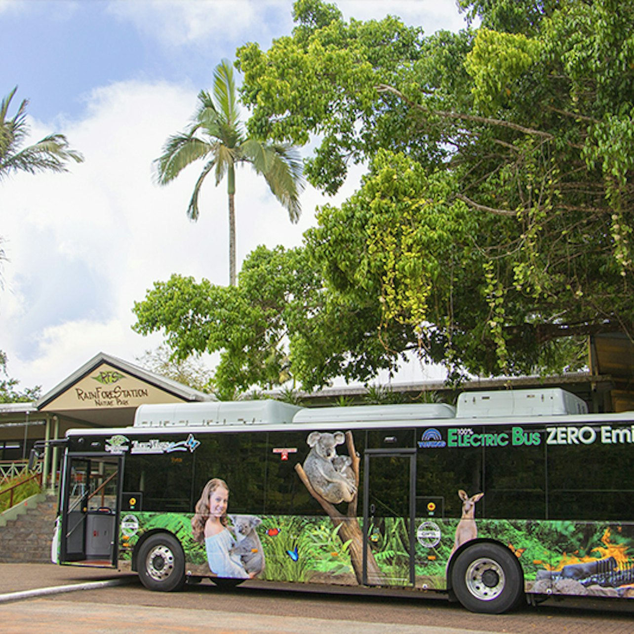 Experience a seamless journey to the lush Rainforestation Nature Park aboard a modern electric bus setting the stage for unforgettable wildlife encounters and cultural adventures in stunning Queensland scenery.