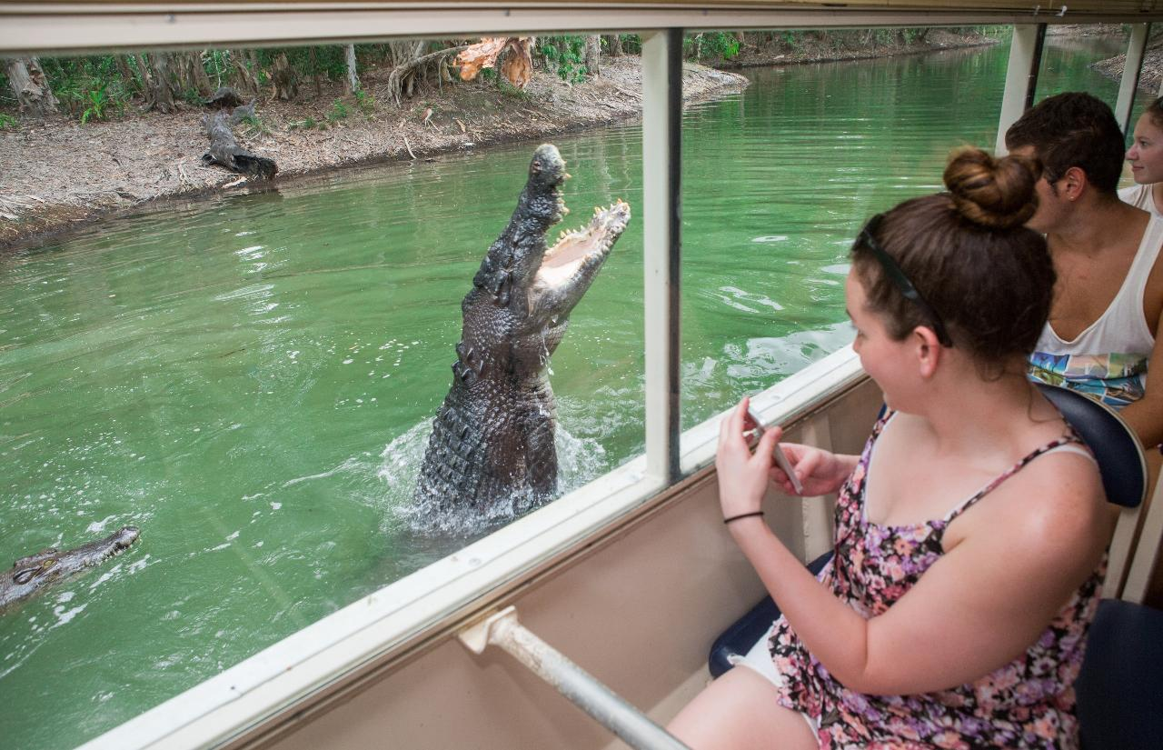Kuranda: Scenic Rail, Skyrail and Hartley's Crocodile Adventures Q-0850 S-1130 XC - Photo 1 of 21