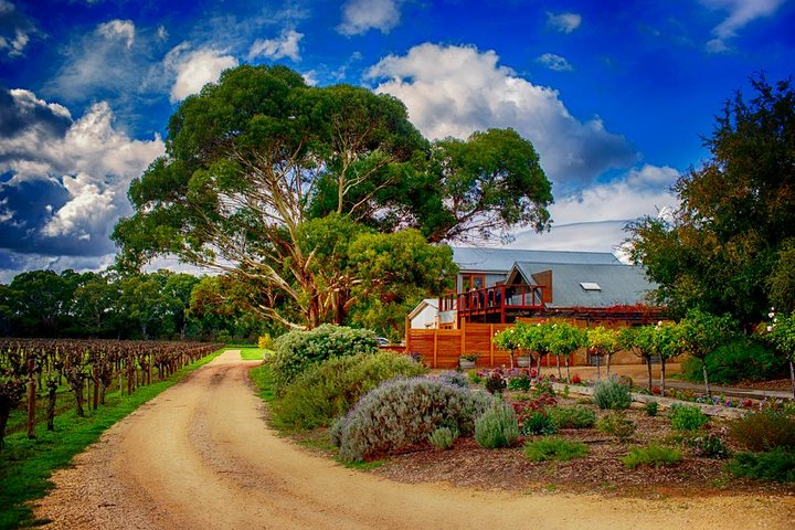 Lake Breeze Winery, Langhorne Creek SA
