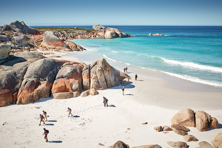 larapuna / Bay of Fires Hiking Tour - 4 Days - Photo 1 of 10
