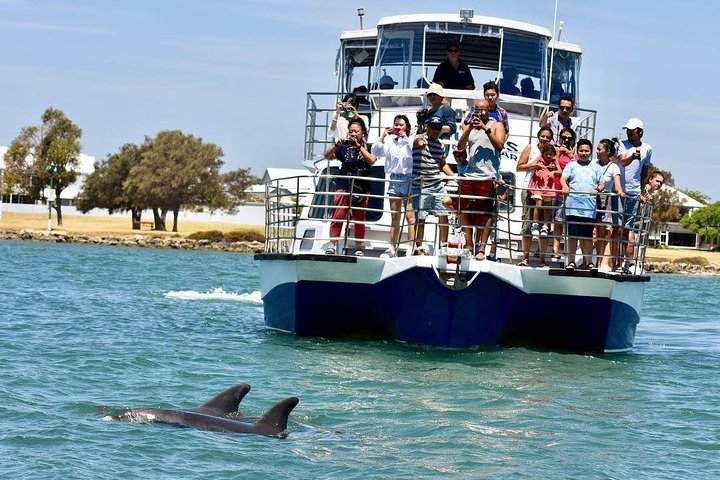 Mandurah Dolphin Cruise & Views Tour - Photo 1 of 17