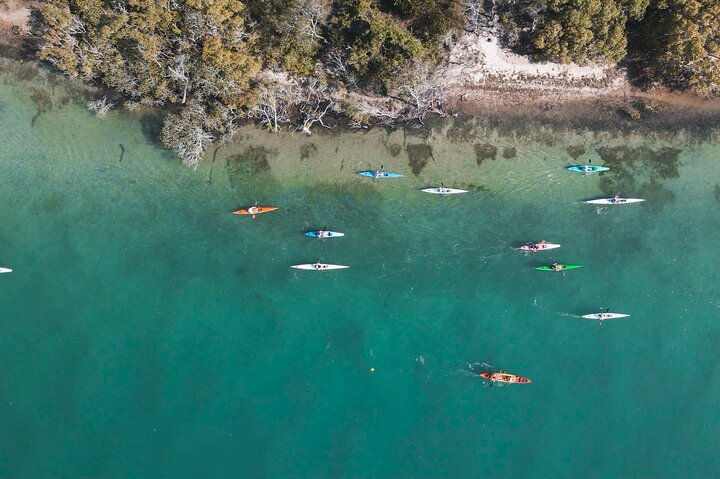 Mangroves and Mansions Guided Kayak Tour on the Noosa River - Photo 1 of 10