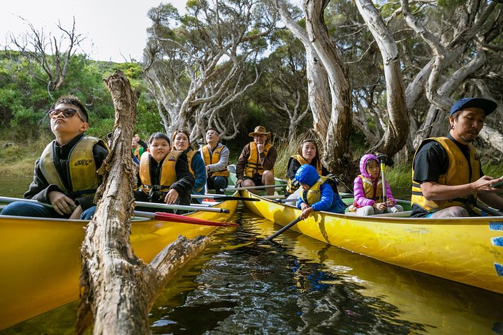 Paddle through serene landscapes with the Margaret River Canoe Tour. Discover unique native flavors and enjoy outdoor adventures perfect for families and travelers of all ages.