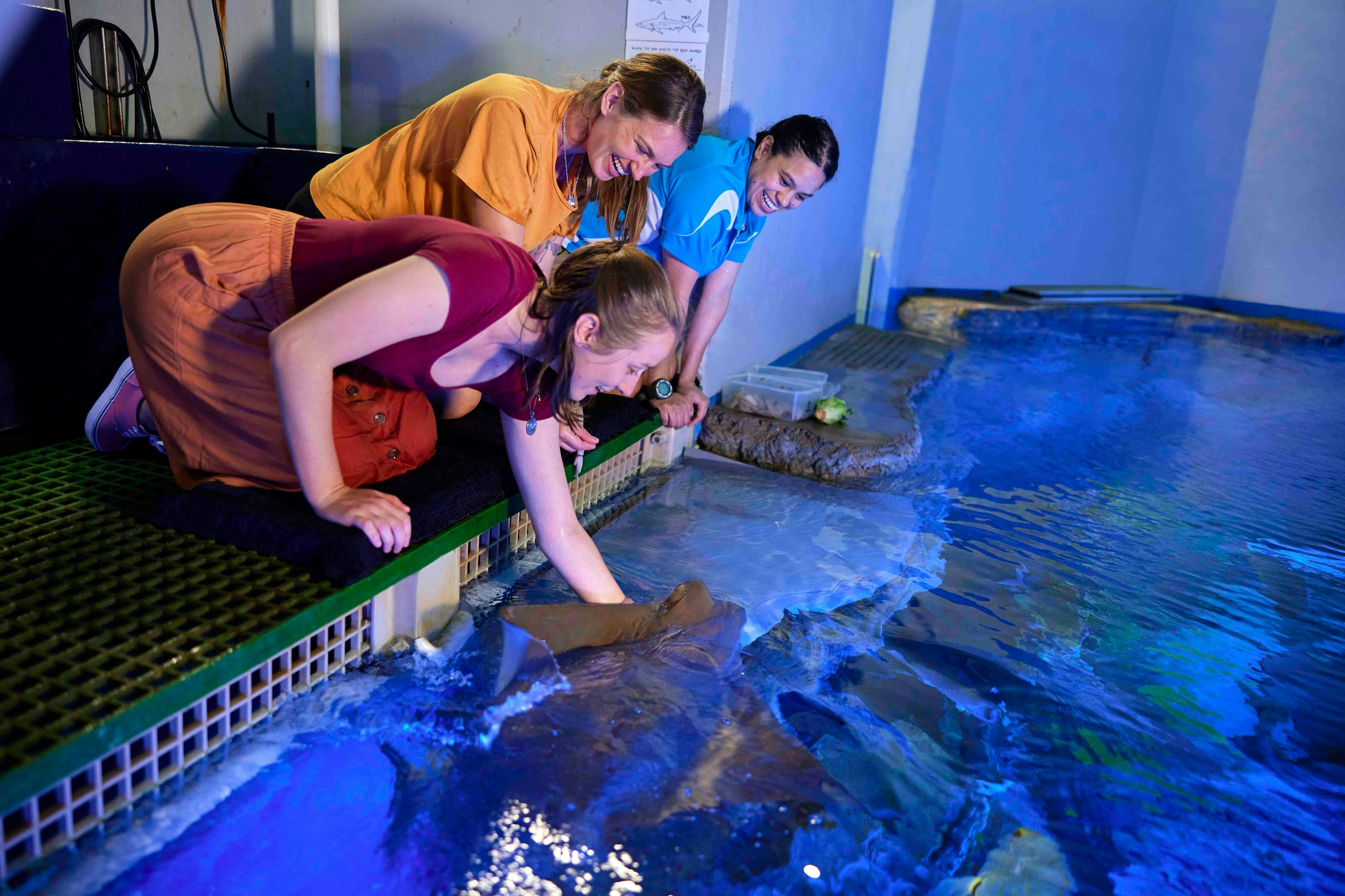 Marine Life Encounter at Cairns Aquarium - Photo 1 of 8