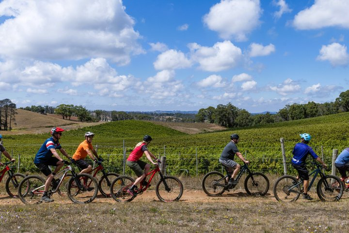 McLaren Vale Wine Tour by E-Bike (Private & Small Group) - Photo 1 of 17