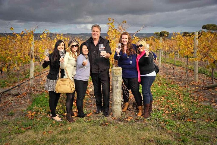 Autumn in McLaren Vale 