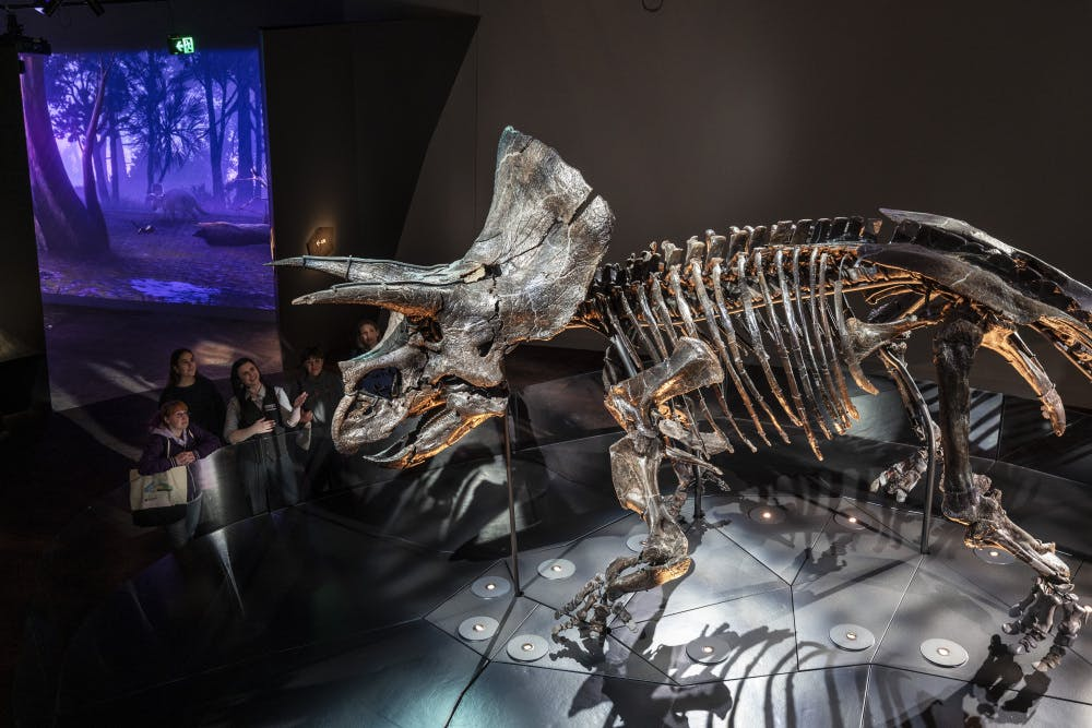 Melbourne Museum: Home of Dinosaurs Guided Tour - Photo 1 of 6