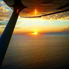Monkey Mia & Cape Peron Sunset Flight from Shark Bay  - Photo 1 of 1