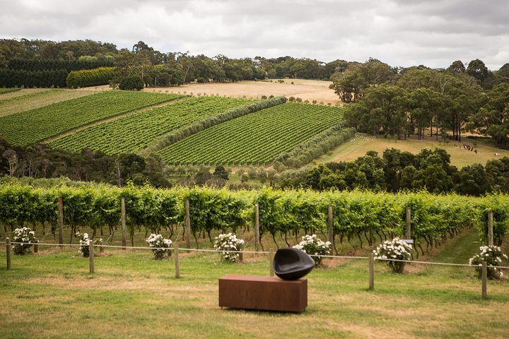 Experience the serenity of rolling vineyards and lush gardens at Montalto where wine tasting meets delightful lunches in a stunning landscape that invites relaxation and connection.