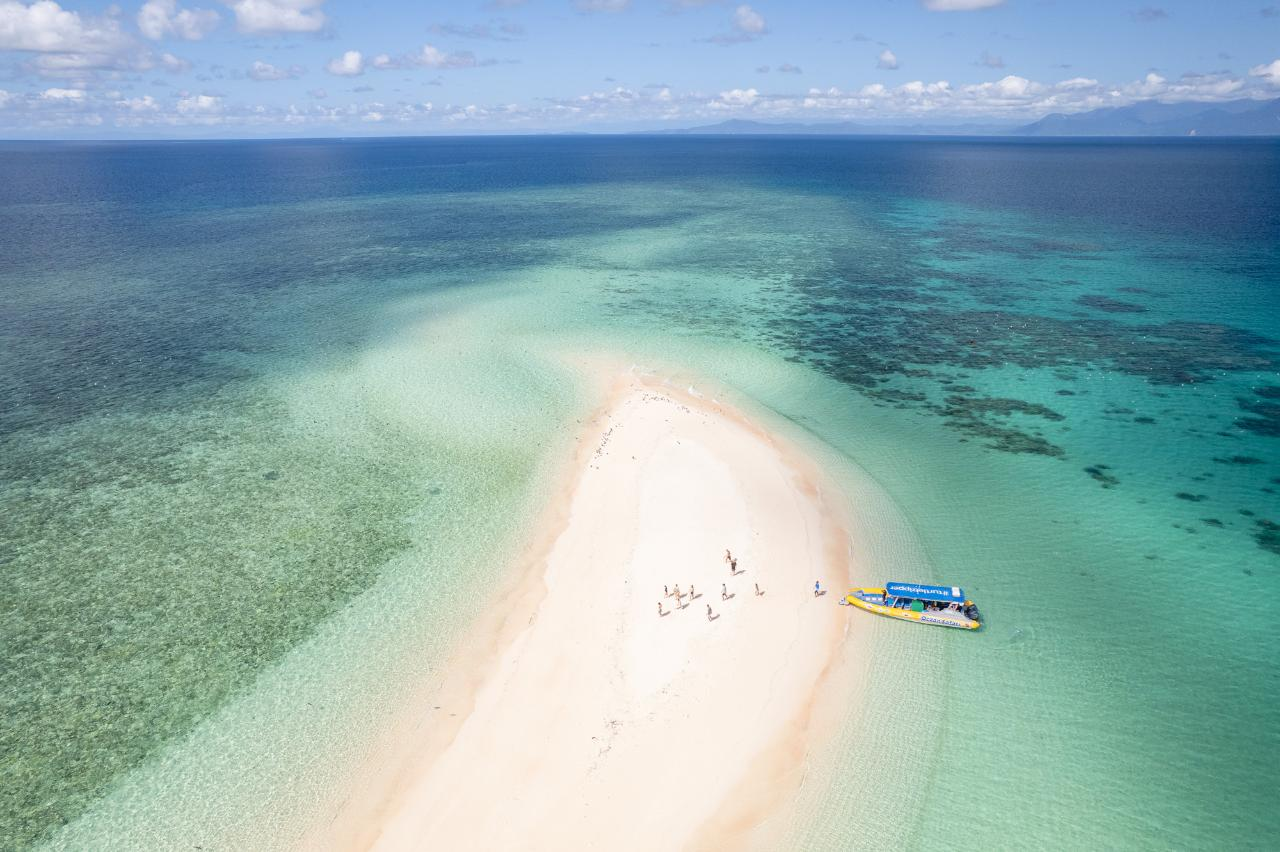 MORNING Ocean Safari Great Barrier Reef Adventure - Photo 1 of 19
