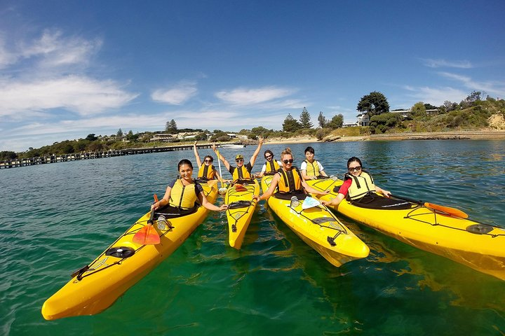 Paddle through clear waters exploring the stunning coastline of the Mornington Peninsula. Experience the joy of nature while spotting dolphins seals and penguins on this unique adventure.