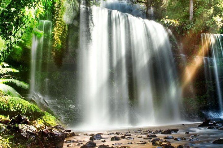 Mount Field Day Tour Private Charter Service - Photo 1 of 7