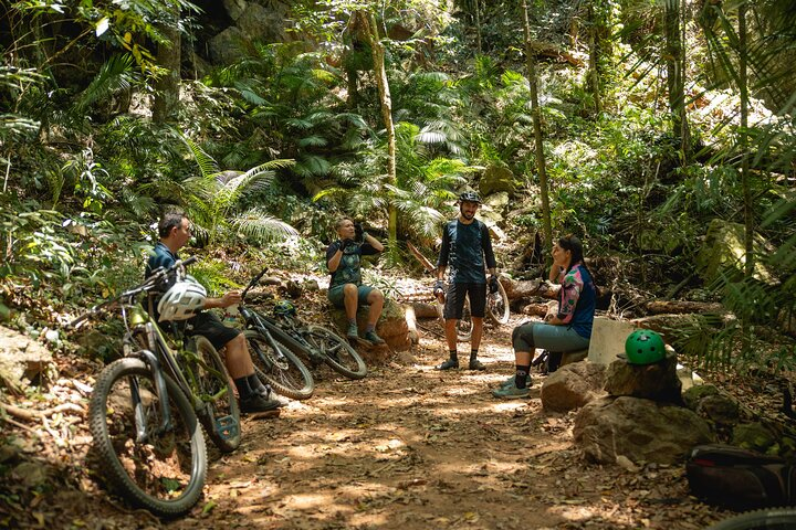 Mountain Bike Tour Cairns in Palm Cove Pelago
