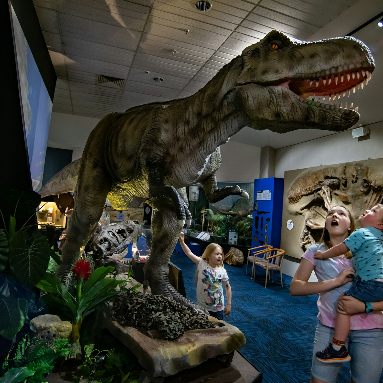 National Dinosaur Museum: Skip The Line Ticket - Photo 1 of 7