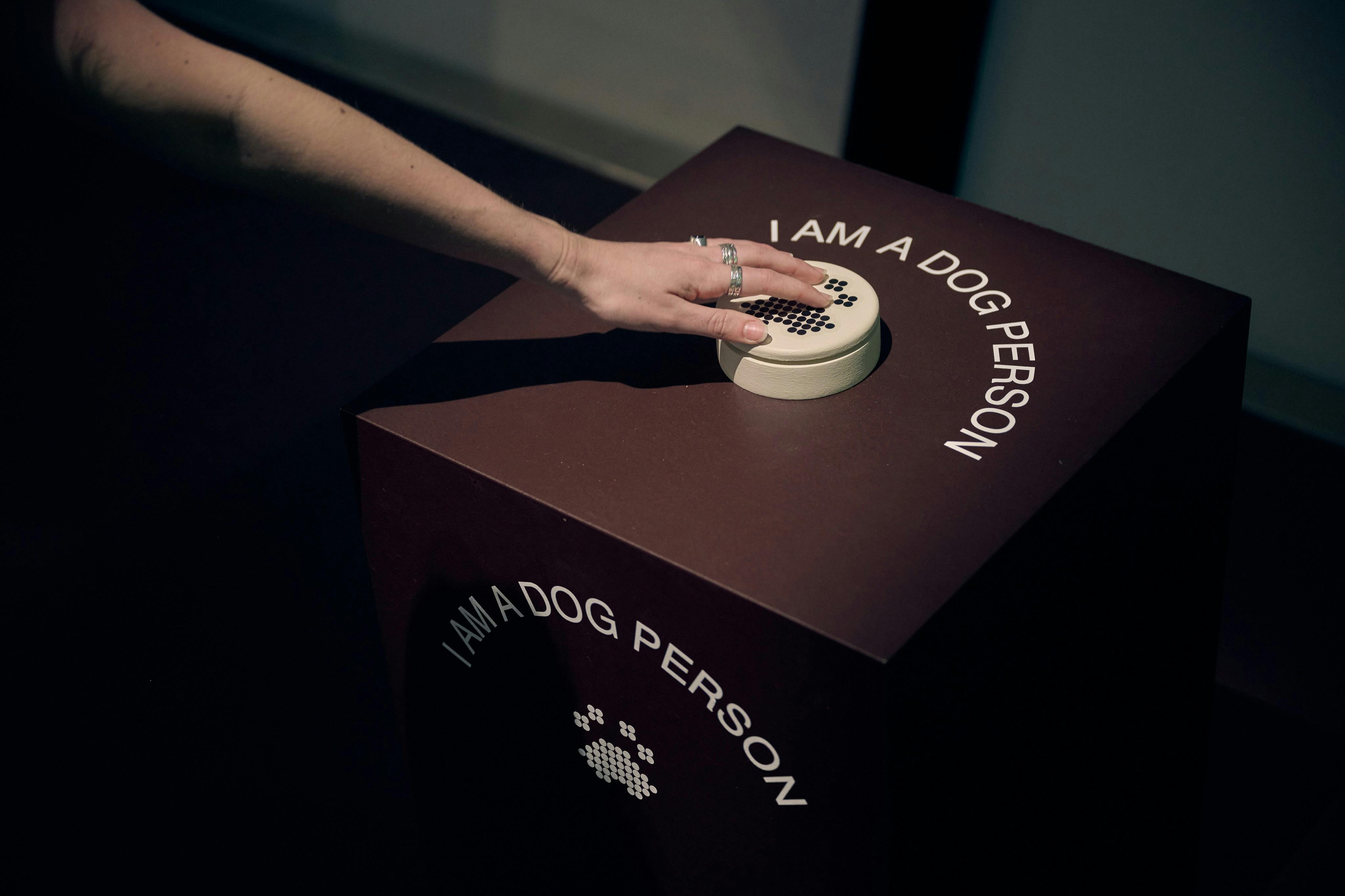 National Gallery of Victoria: Cats & Dogs Exhibition - Photo 1 of 9