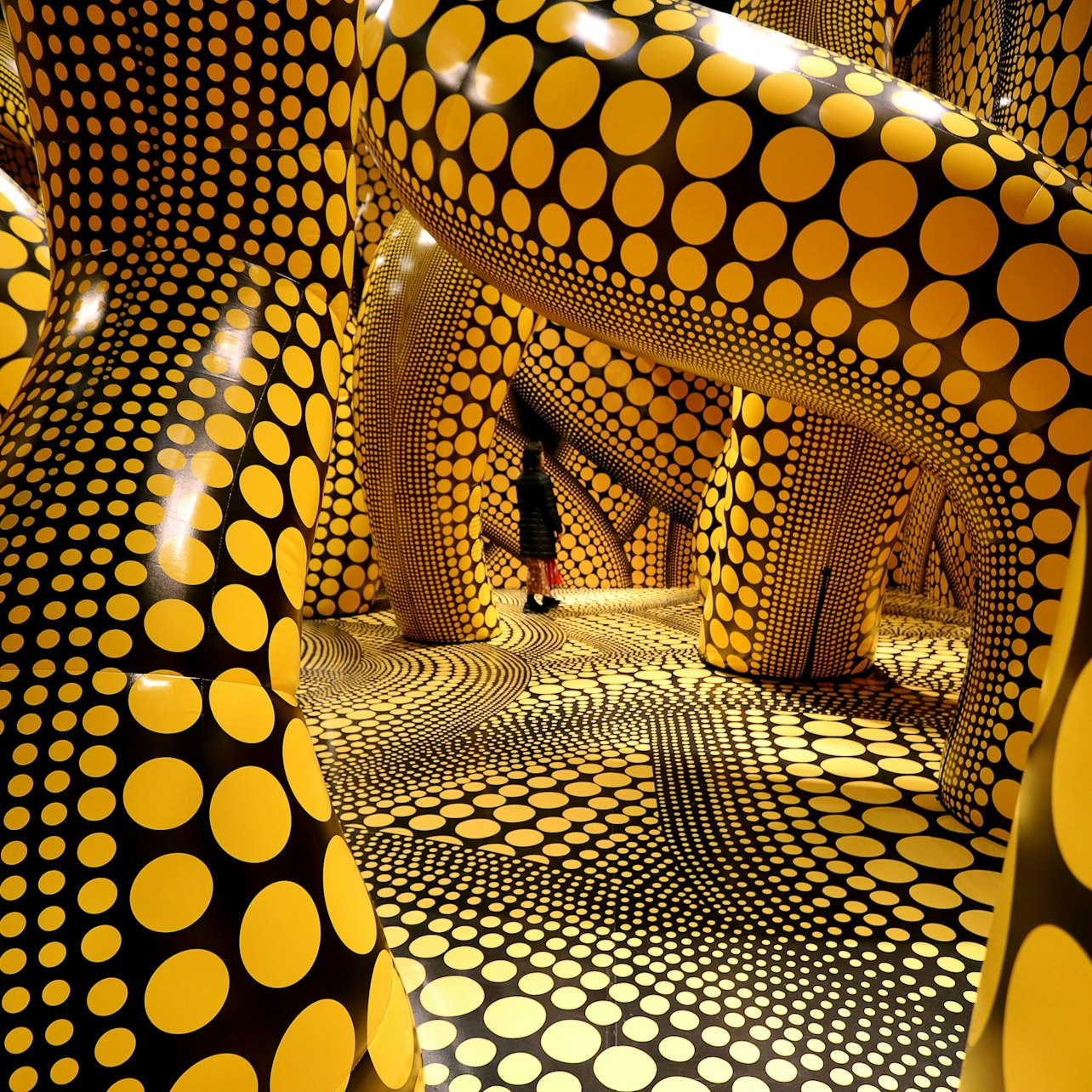 หอศิลป์แห่งชาติวิกตอเรีย: นิทรรศการยาโยอิ คุซามะ - Photo 1 of 14