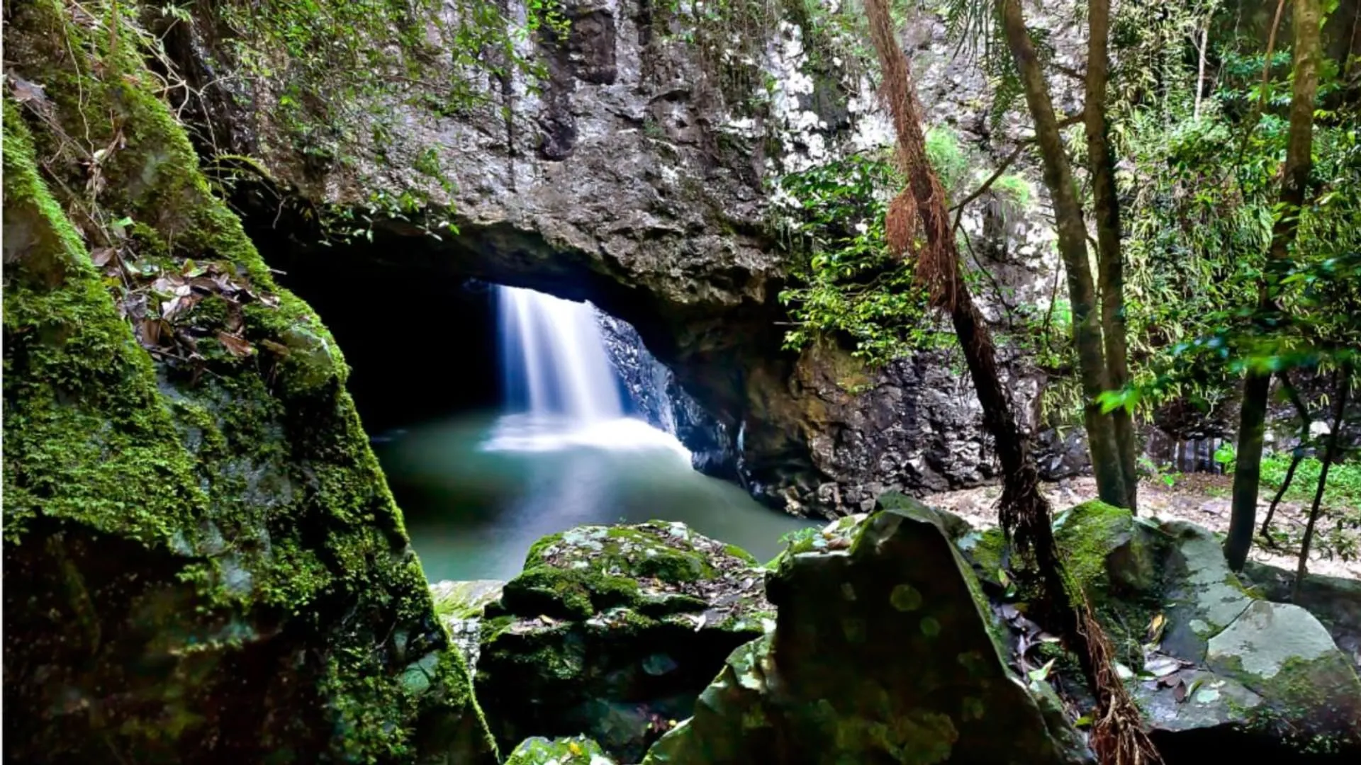Natural Bridge \u0026 Springbrook Waterfalls Tour in Gold Coast | Pelago, image size:1920x1080