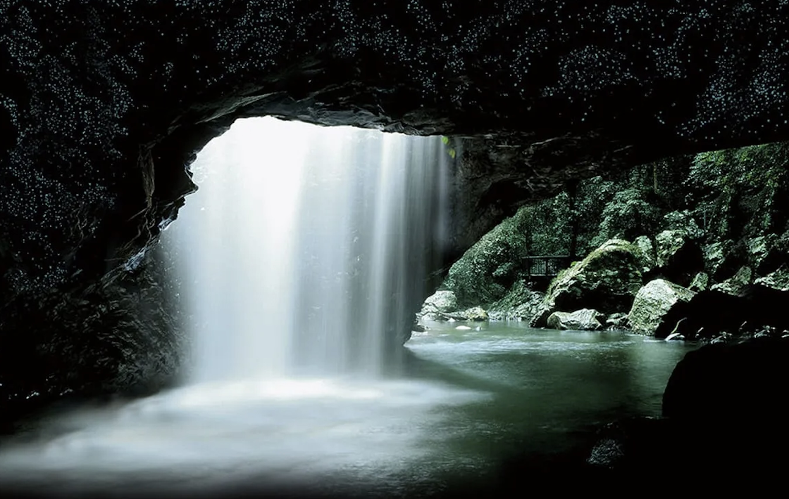 내추럴 브리지 글로우 웜 야간 투어(골드 코스트 출발) - Photo 1 of 4