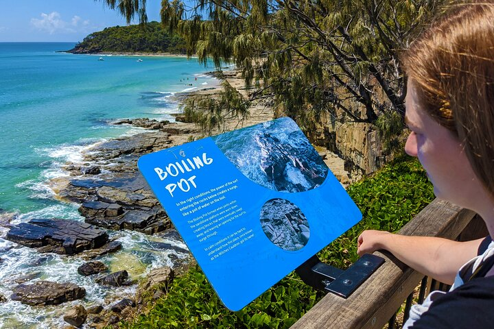 Discover stunning coastal views while learning about the unique features of Noosa National Park. Experience the perfect blend of nature and knowledge at the Boiling Pot lookout.
