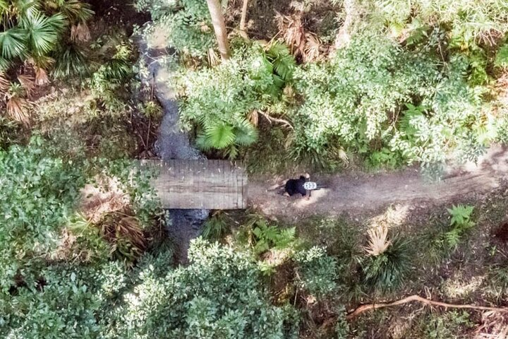 Noosa eMtn Bike Tour: Exploring a National Park on Fun MTB Trails - Photo 1 of 19