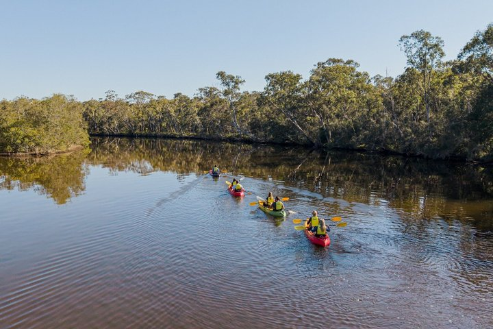Noosa Everglade Kayak -South/Noosa End - Searching for Stingrays! - Photo 1 of 25