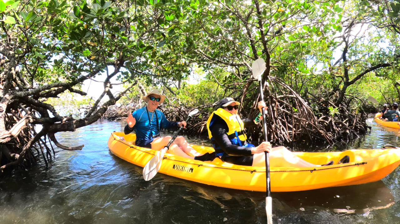 Noosa Heads: Hidden Waterways & Wildlife Kayak Tour - (Self Guided / Fully Guided / Private) - Photo 1 of 12