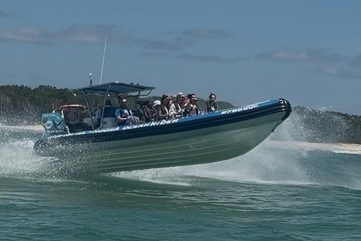 Noosa ocean adventure & Dolphin safari. - Photo 1 of 17