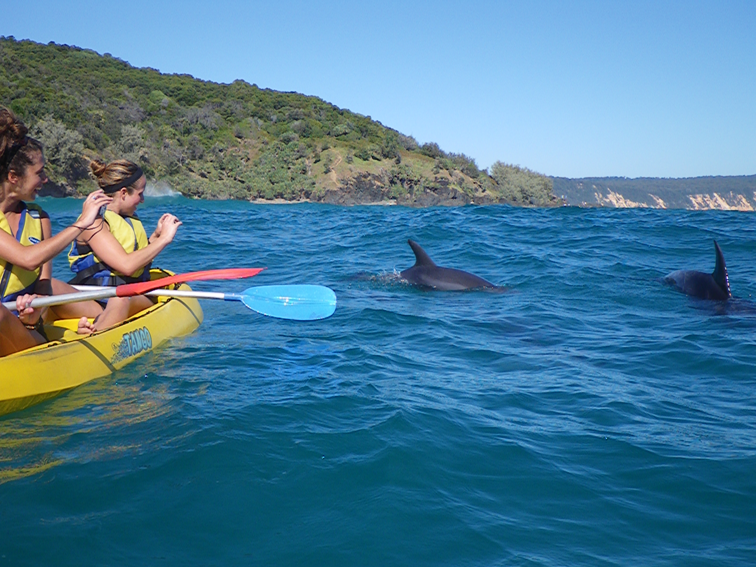 Noosa Dolphin View Sea Kayak & Beach 4X4 Adventure -  Day Tour - Photo 1 of 5