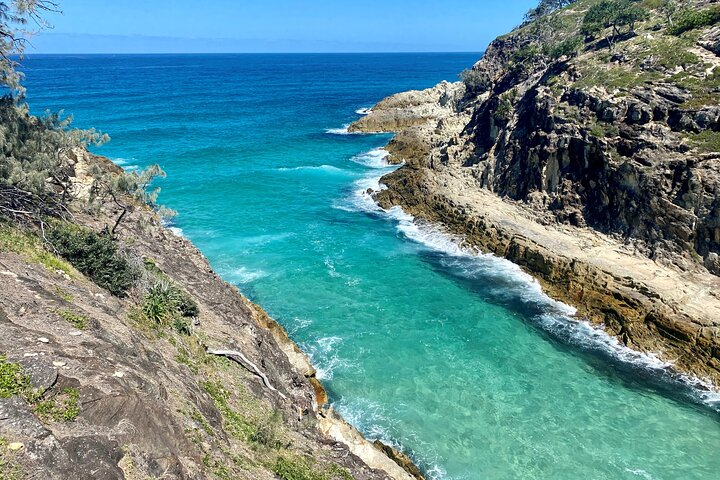 North Stradbroke Island WILDLIFE Adventure Tour from Brisbane - Photo 1 of 12