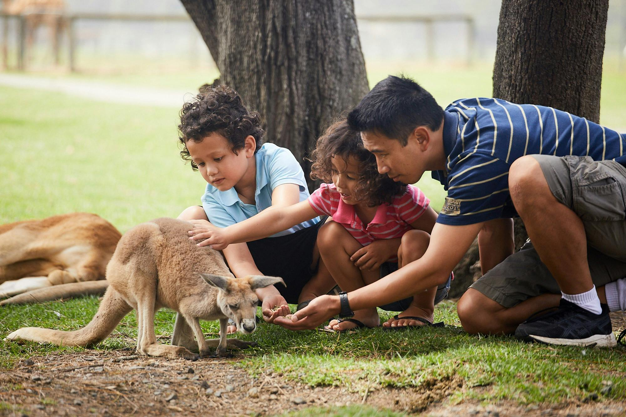 Oakvale Wildlife Park: Entry Ticket - Photo 1 of 21