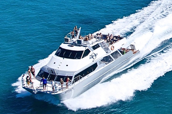 Ocean Freedom: Great Barrier Reef Stylish Snorkel, Dive Reef Tour - Photo 1 of 17