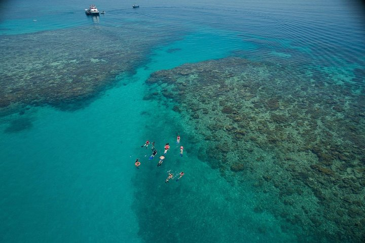 Snorkel on "Wonder Wall"
